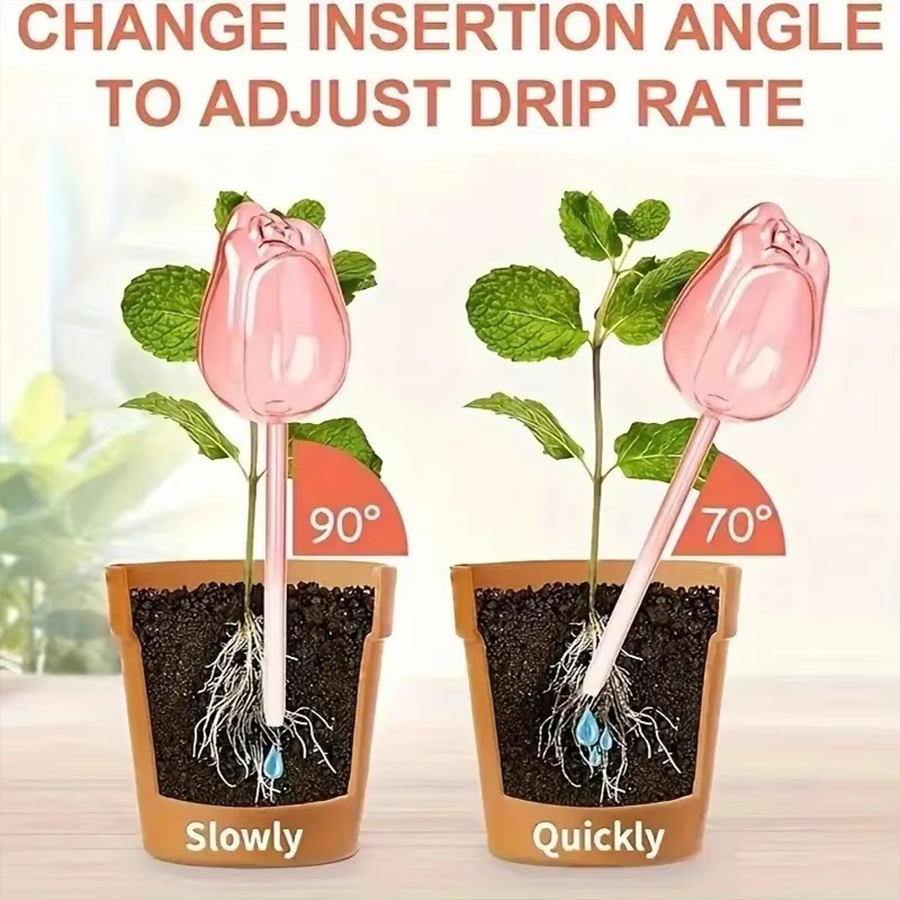 Transparent Thick PET Tulip Sh - Self Watering Planter 评论和价格