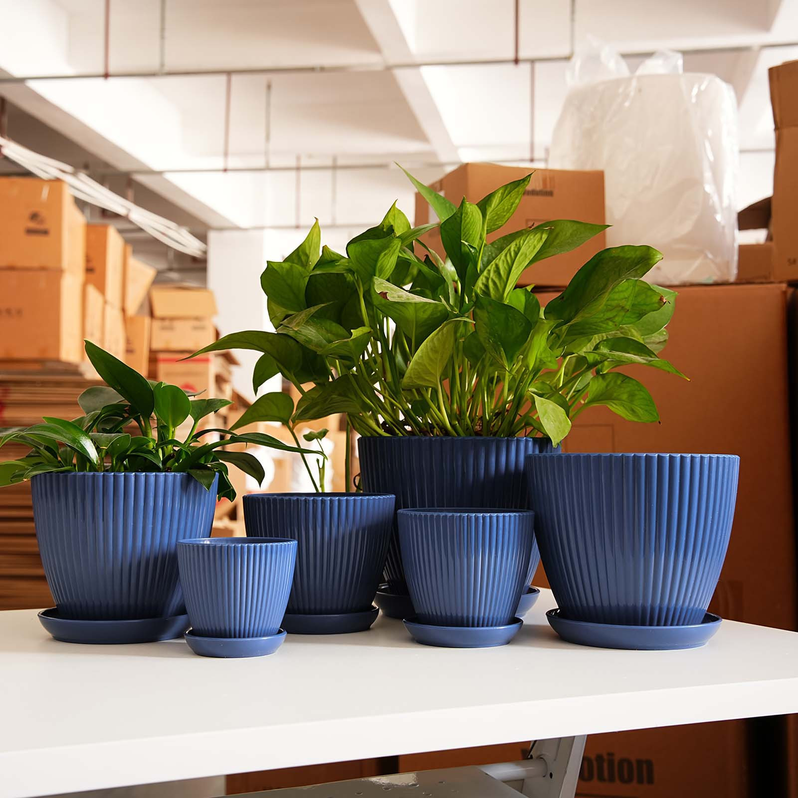 Vertical Striped Thickened Pla - Vertical Planter 评论和价格