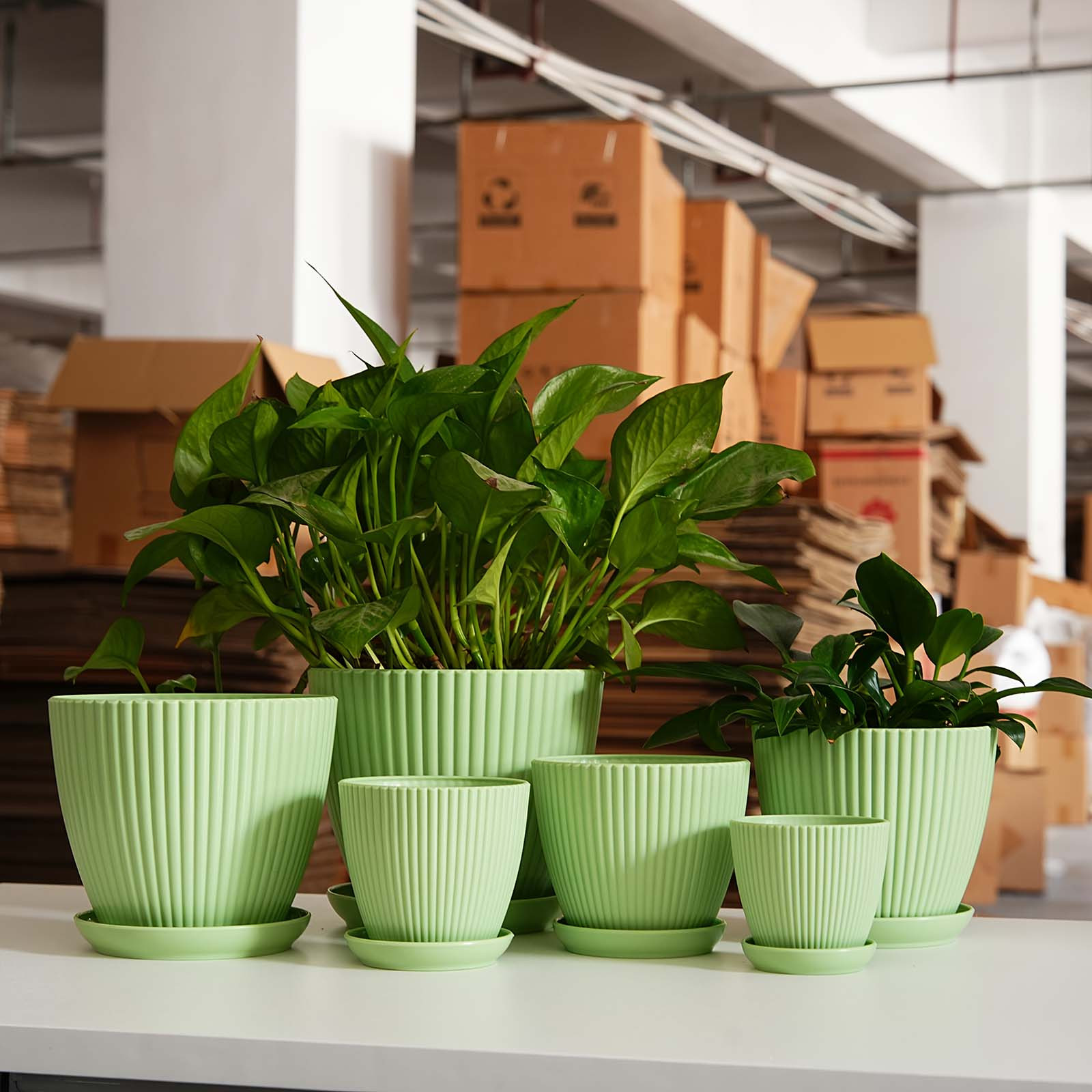 Vertical Striped Thickened Pla - Vertical Planter 评论和价格