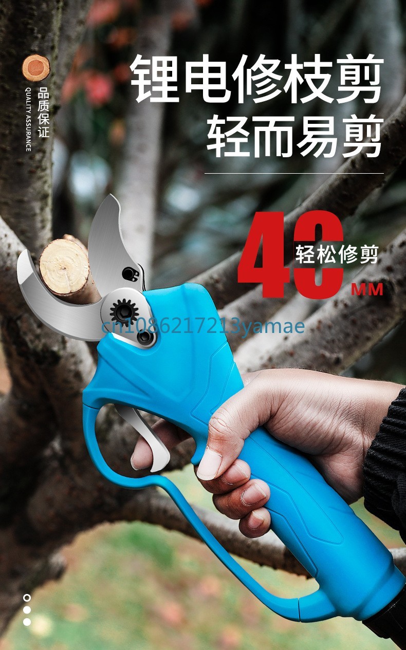 Lithium Battery Backpack Elect - Pruning Shears 评论和价格