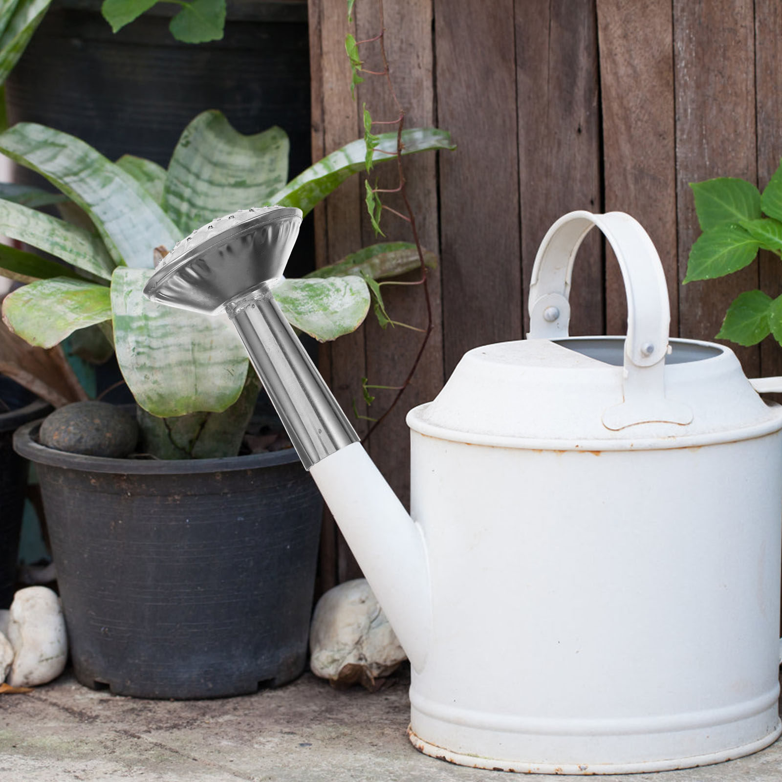 Stainless Steel Water Can Spra - Watering Can 评论和价格