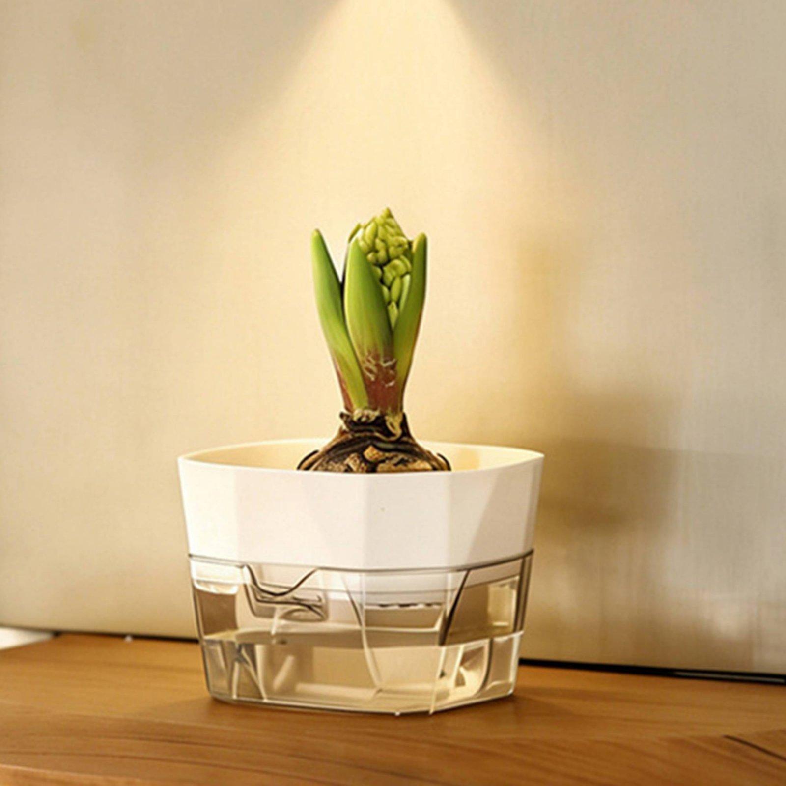 Hydroponic Vase Two Layer Self - Self Watering Planter 评论和价格