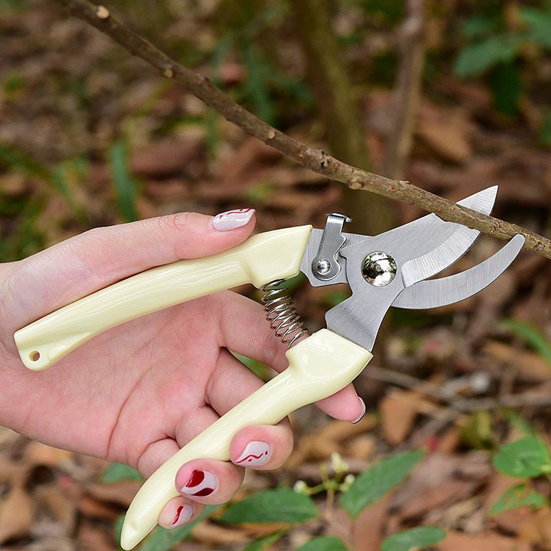 Labor‑Saving Garden Pruning Sh - Pruning Shears 评论和价格