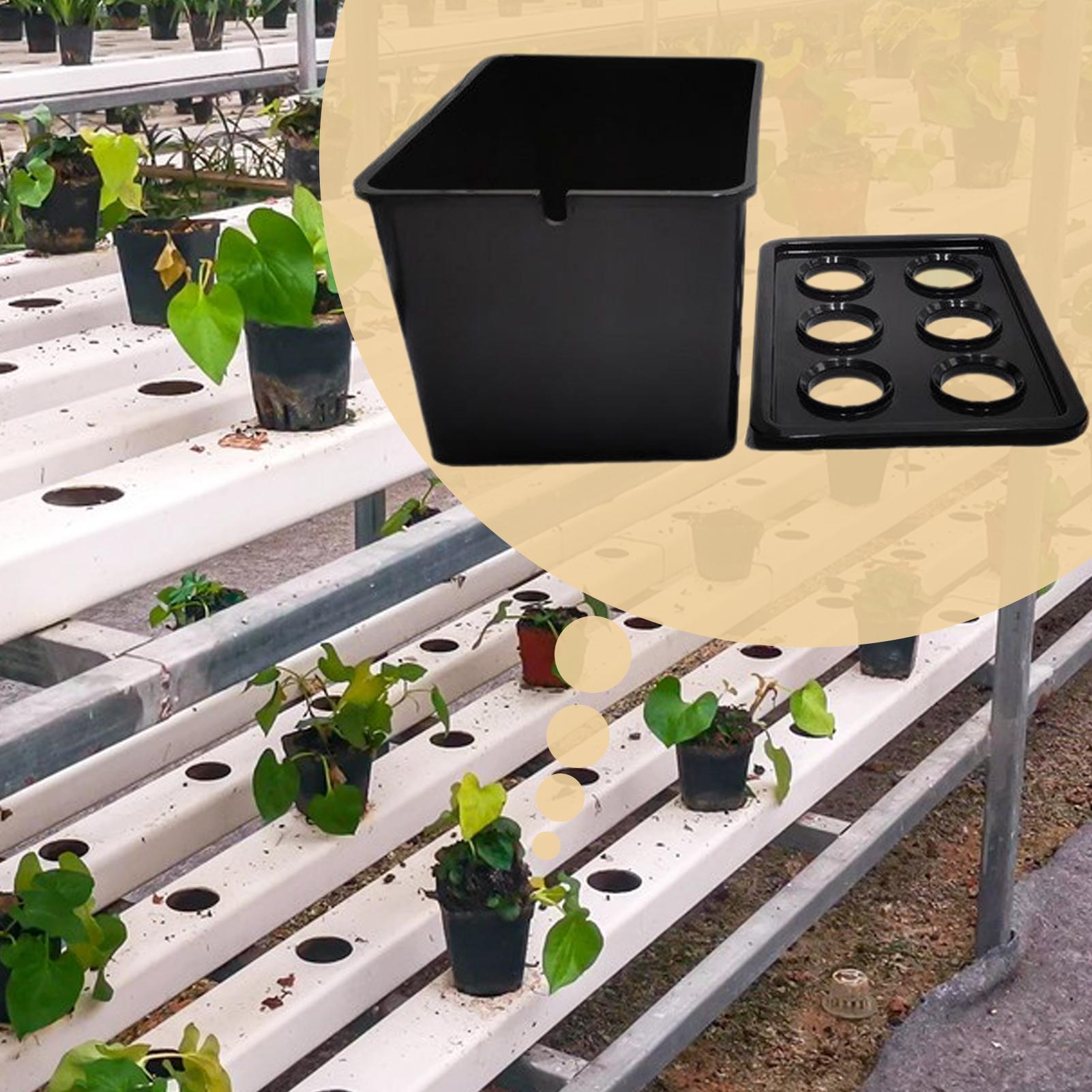 Hydroponic Planting Kit Beginn - Hydroponic Kit 评论和价格