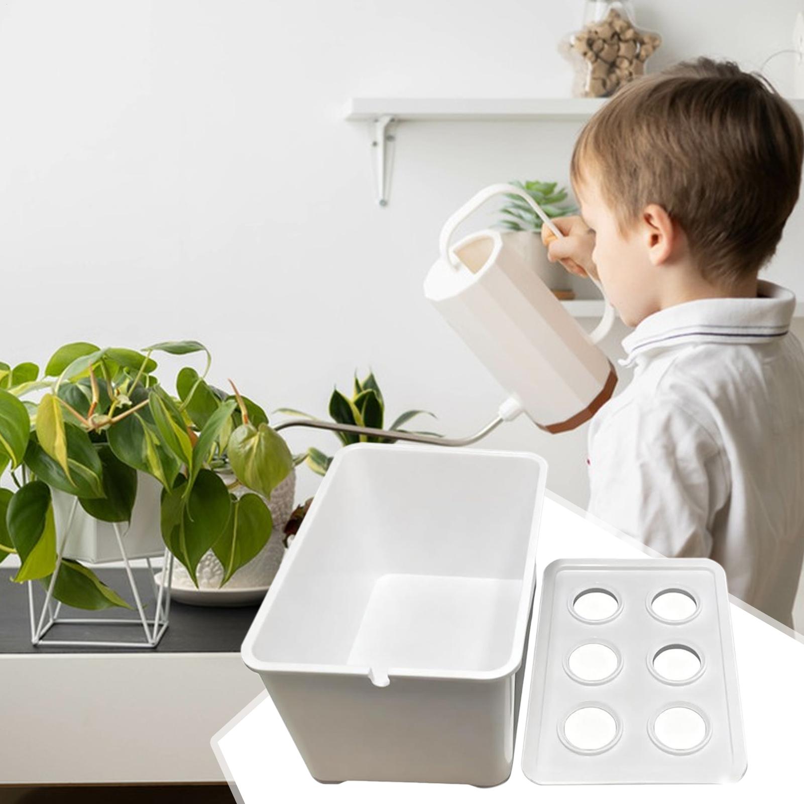 Hydroponic Planting Kit Beginn - Hydroponic Kit 评论和价格