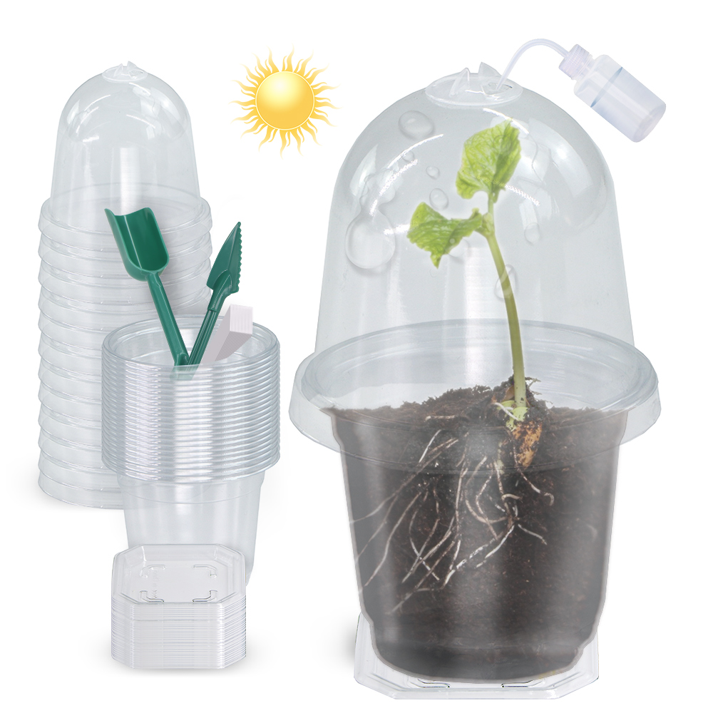 160x90CM Visible Clear Plants  - Seed Starter Tray 评论和价格