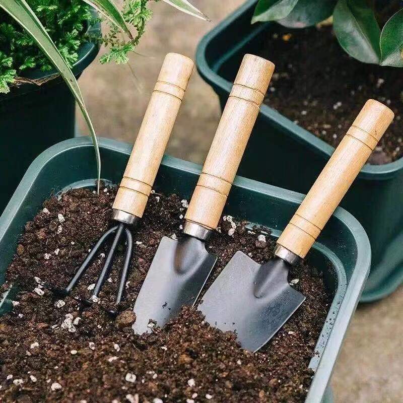 3PC/1Set Mini Gardening Tools  - Indoor Herb Garden 评论和价格