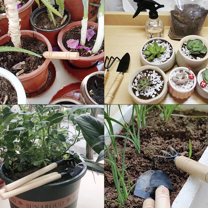 3PC/1Set Mini Gardening Tools  - Indoor Herb Garden 评论和价格