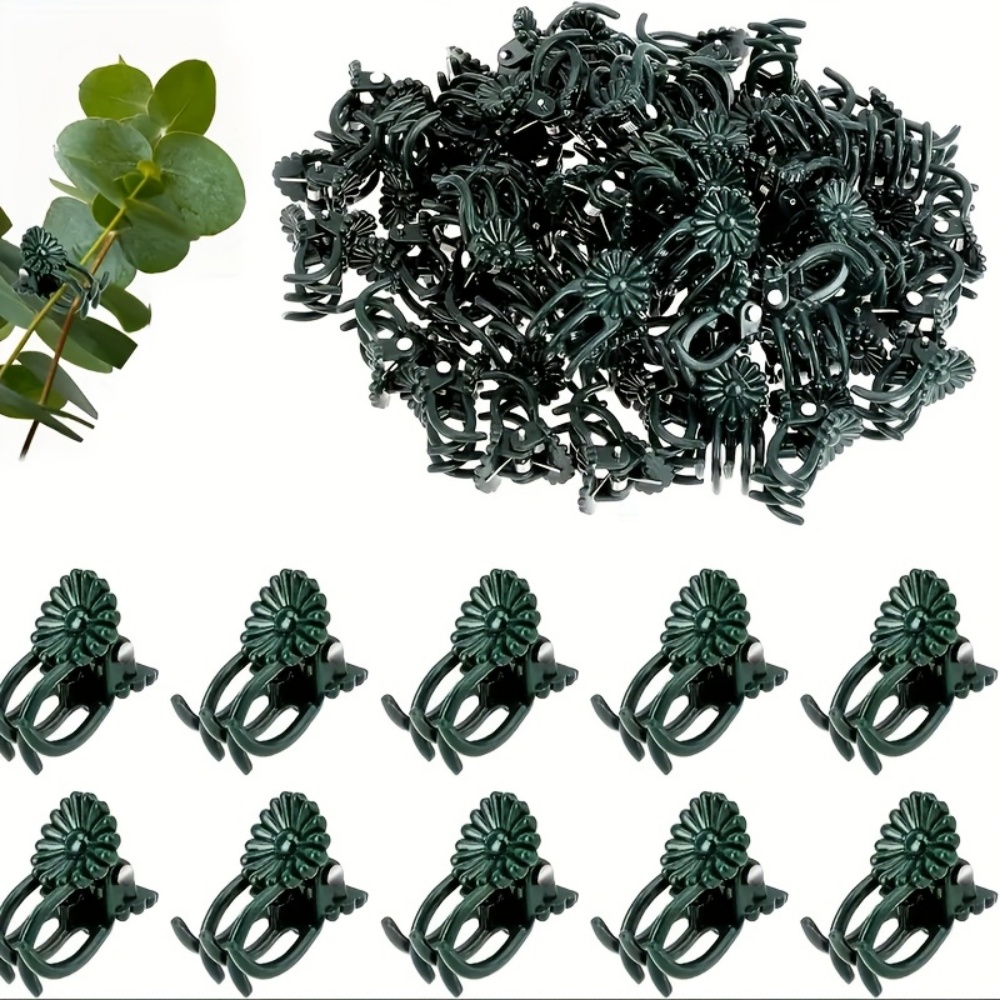 100 Pieces of Orchid and Vine  - Indoor Herb Garden 评论和价格