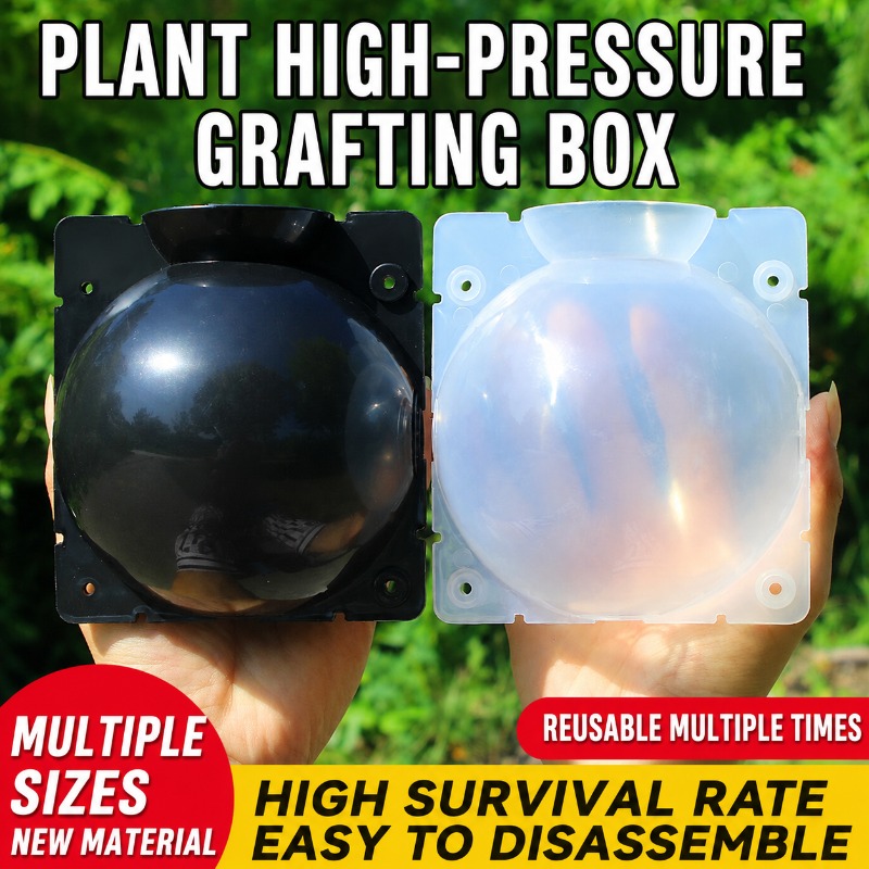 10pcs Plant Propagation Kit: H - Indoor Herb Garden 评论和价格