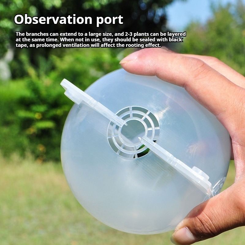 10pcs Plant Propagation Kit: H - Indoor Herb Garden 评论和价格