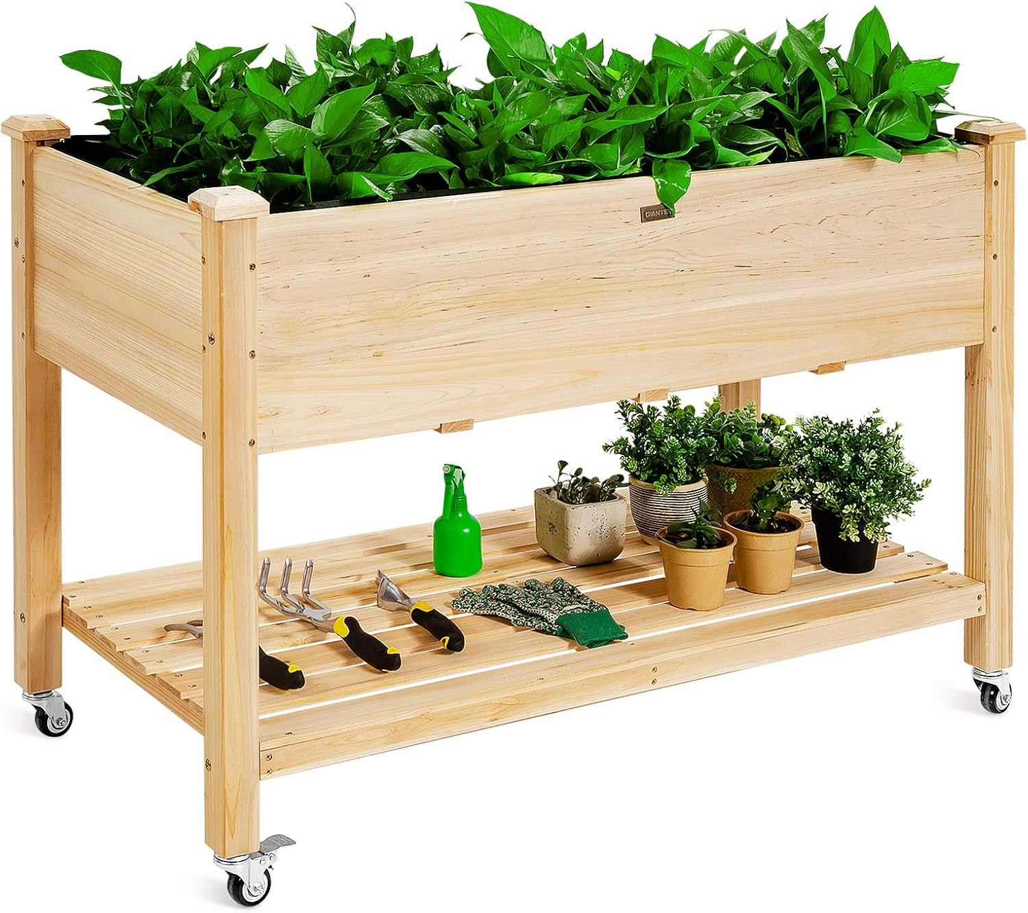 Wooden Raised Garden Bed on Wh - Raised Garden Bed 评论和价格