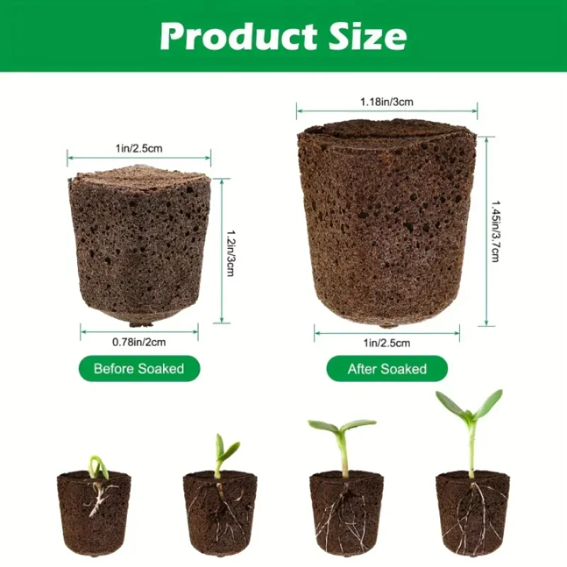 Seedling Starter Sponge Kit fo - Hydroponic Kit 评论和价格