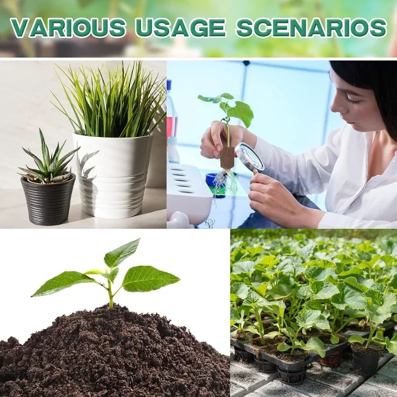 Seedling Starter Sponge Kit fo - Hydroponic Kit 评论和价格