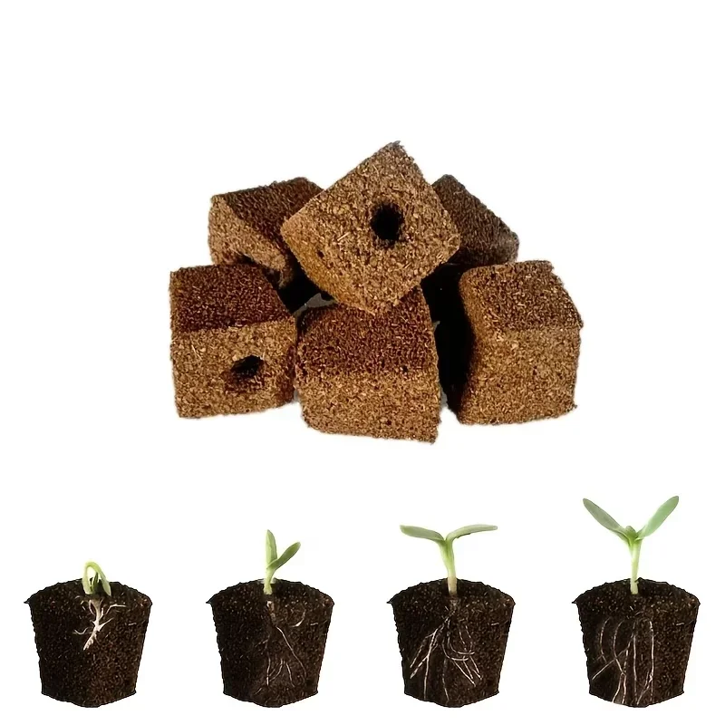 Seedling Starter Sponge Kit fo - Hydroponic Kit 评论和价格