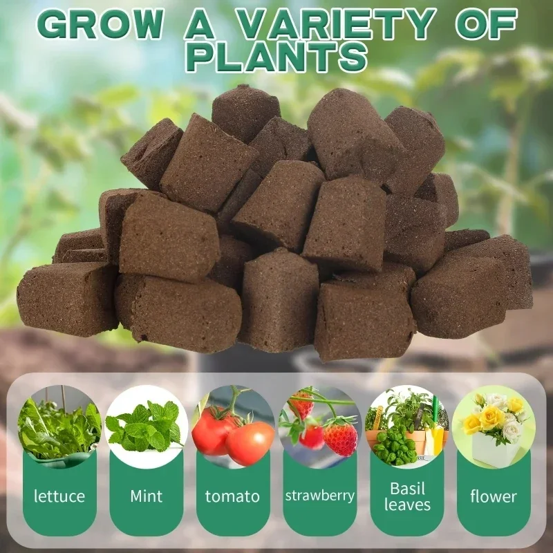 Seedling Starter Sponge Kit fo - Hydroponic Kit 评论和价格