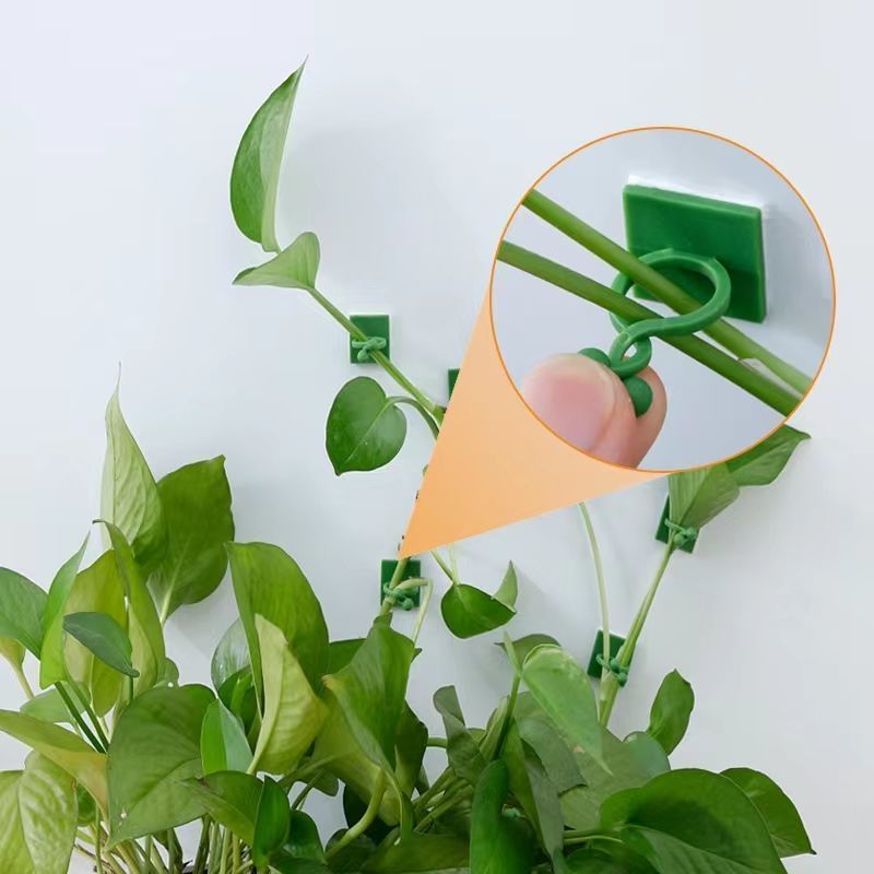 Self‑Adhesive Plant Climbing W - Indoor Herb Garden 评论和价格