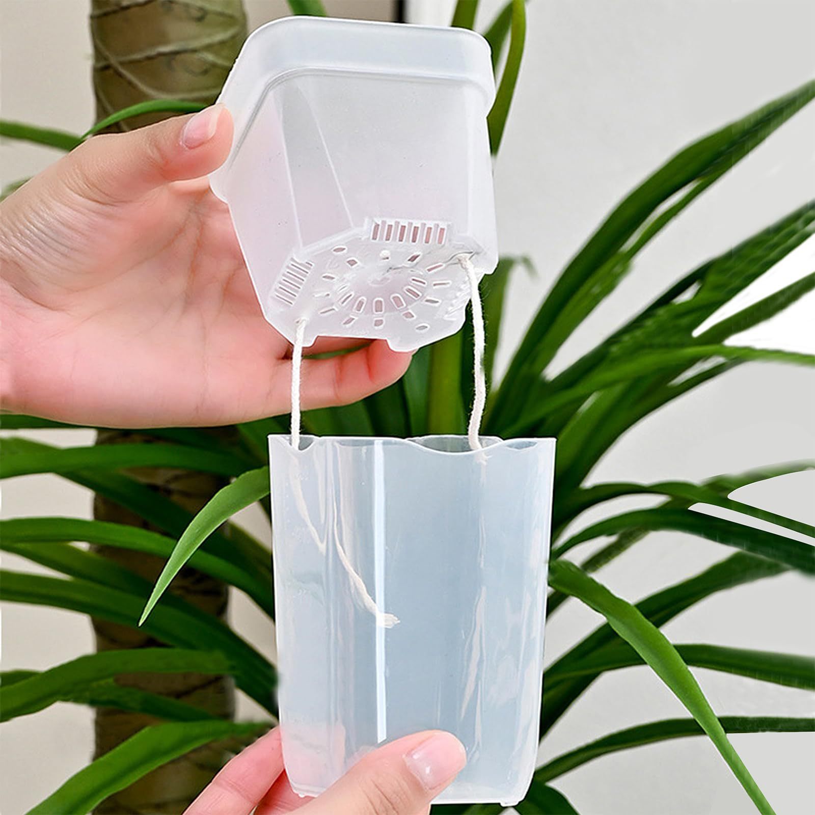 16/32 Pack Self-Watering Plant - Self Watering Planter 评论和价格
