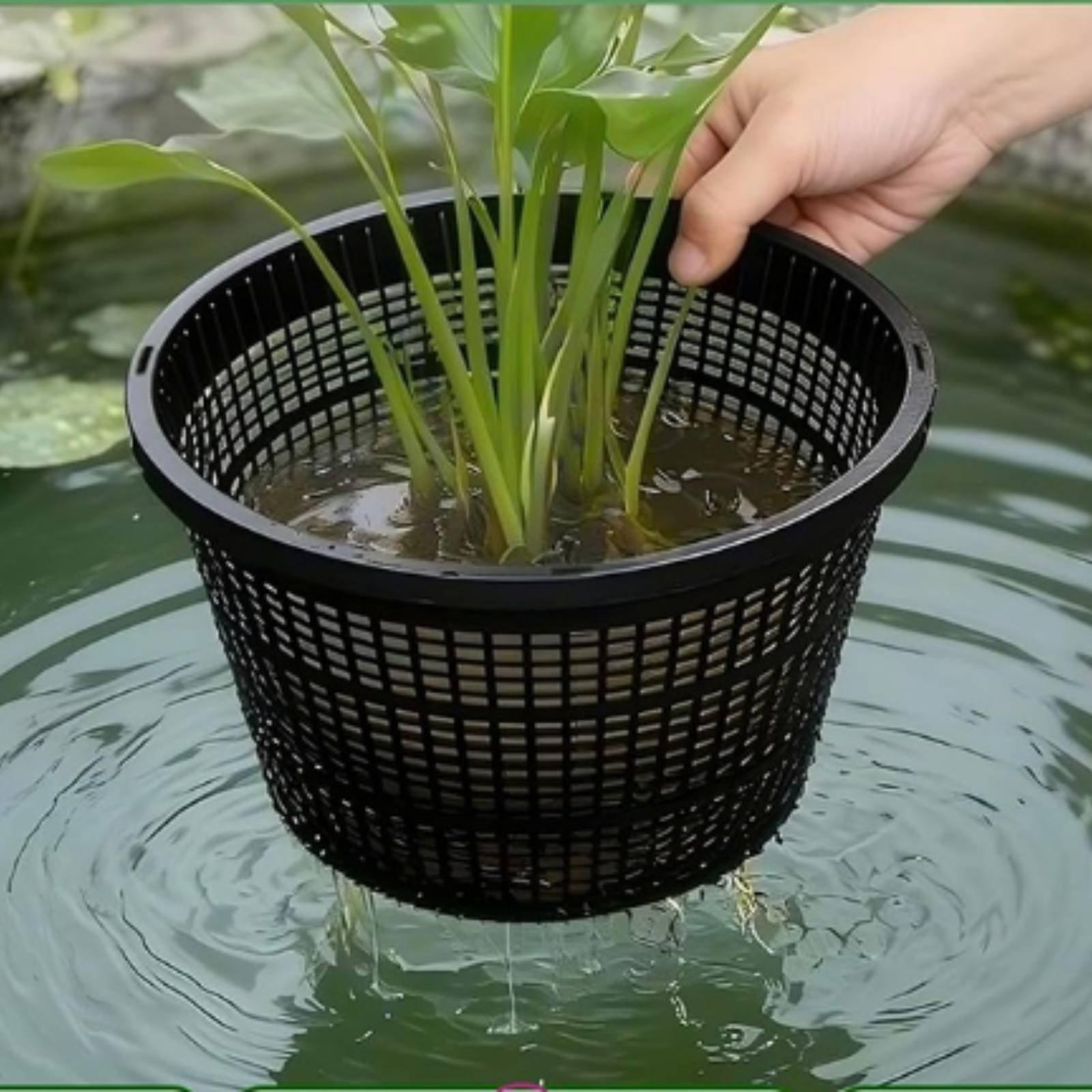 Hydroponic Planter Wide Rim Me - Plant Pot 评论和价格