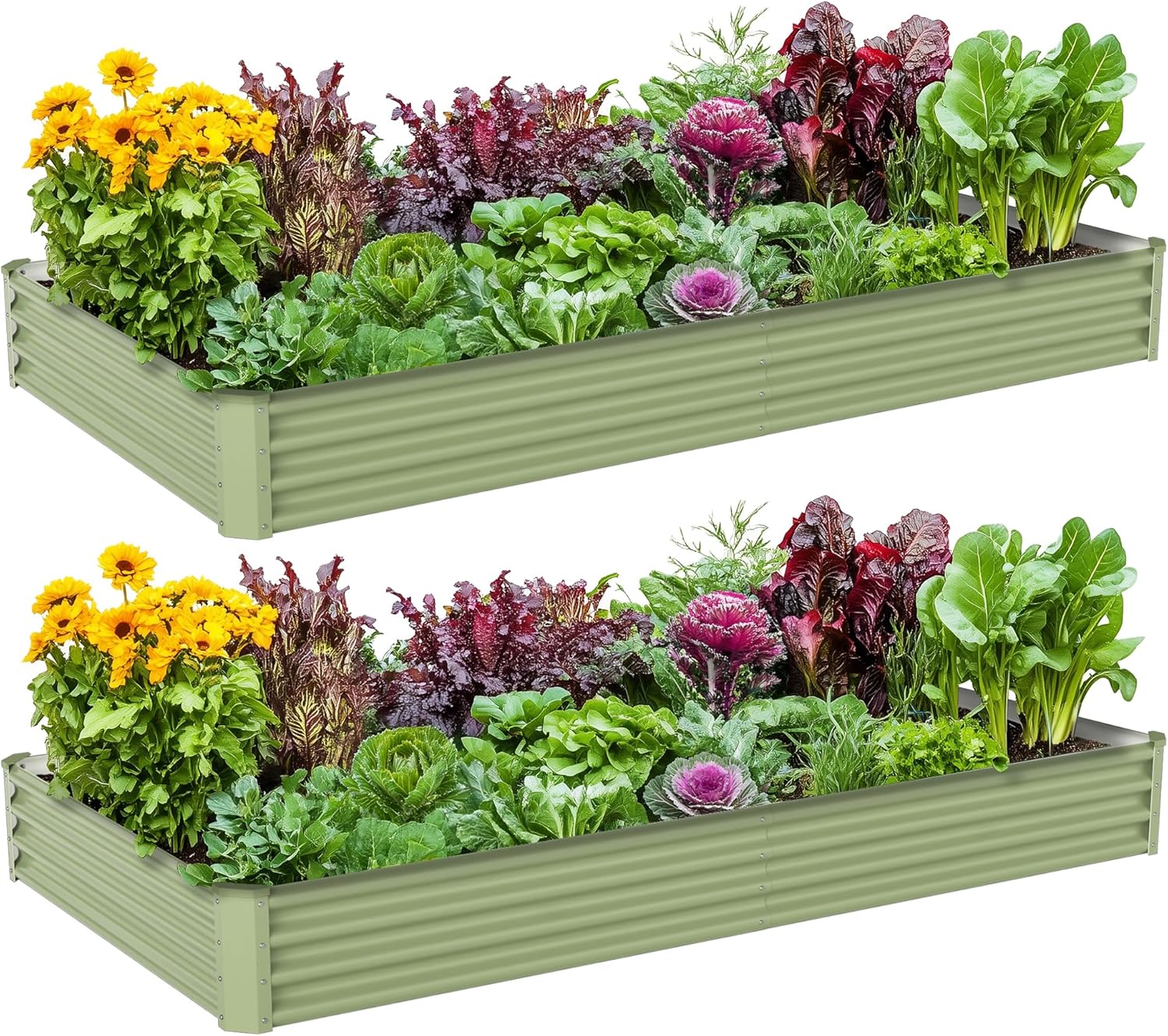 Outdoor Vegetable Gardening Me - Raised Garden Bed 评论和价格
