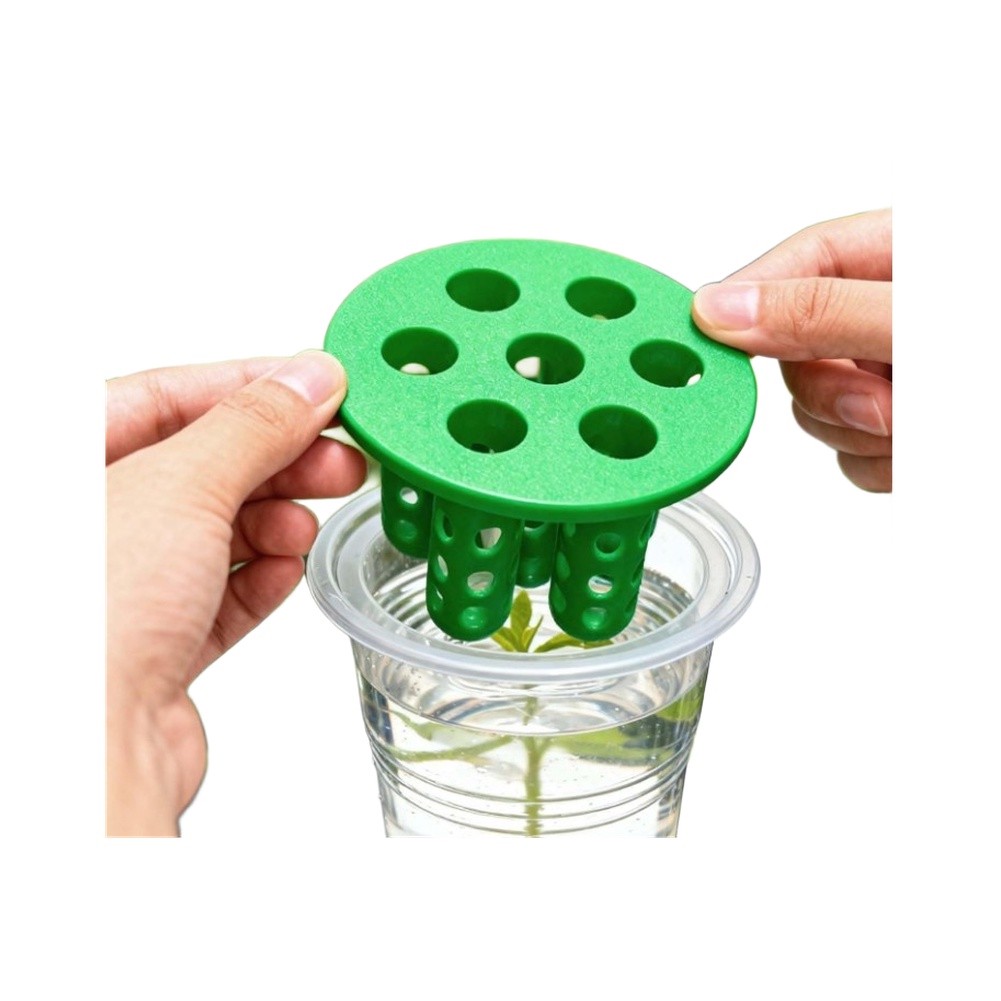 4pcs Green Onion Regrower Spro - Hydroponic Kit 评论和价格