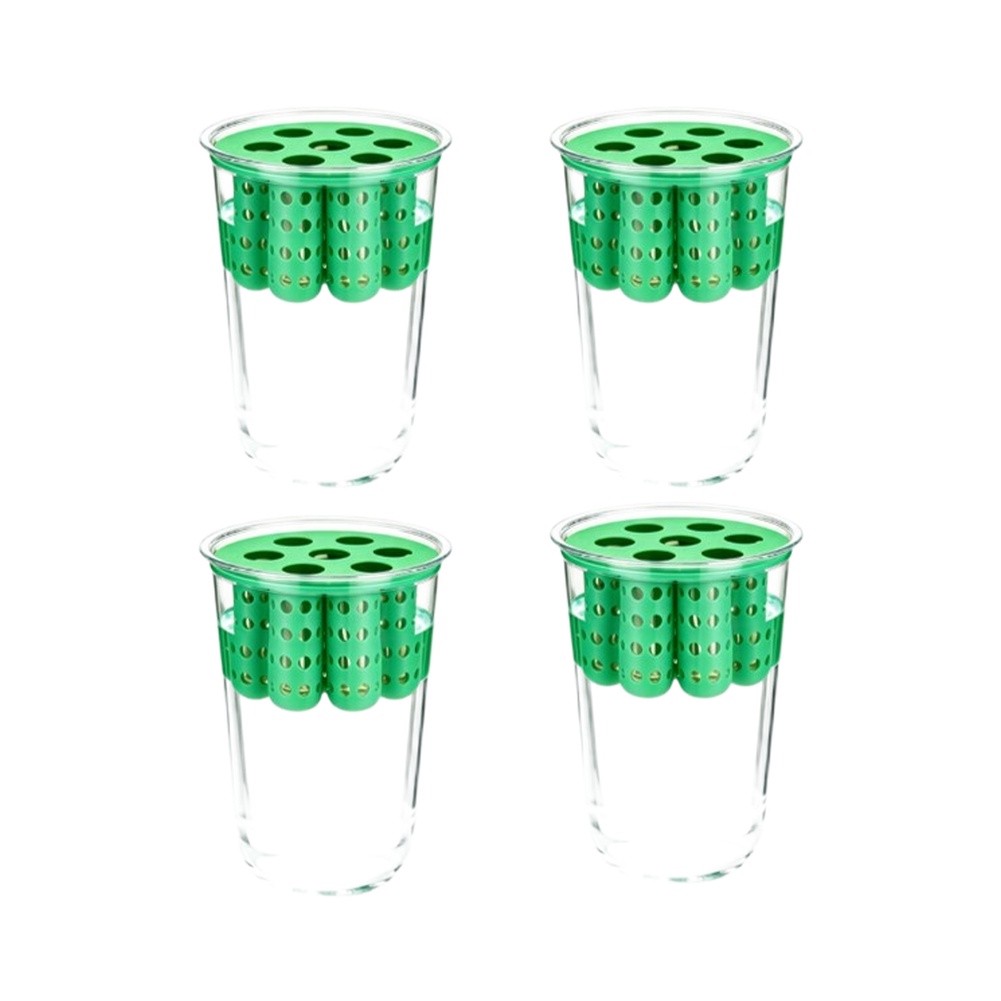4pcs Green Onion Regrower Spro - Hydroponic Kit 评论和价格