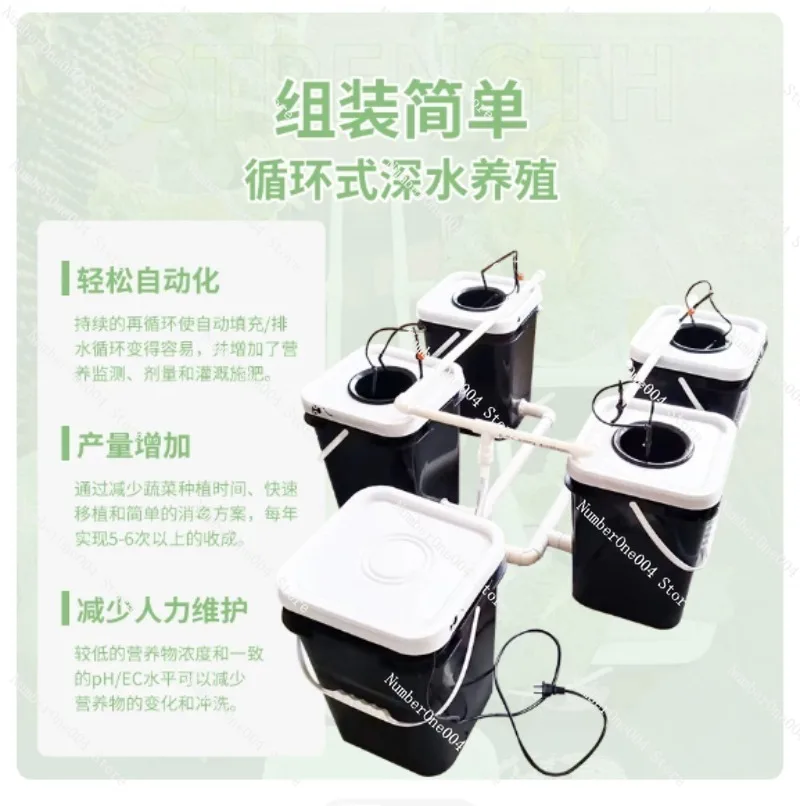 RDWC Home Balcony Hydroponic G - Hydroponic Kit 评论和价格