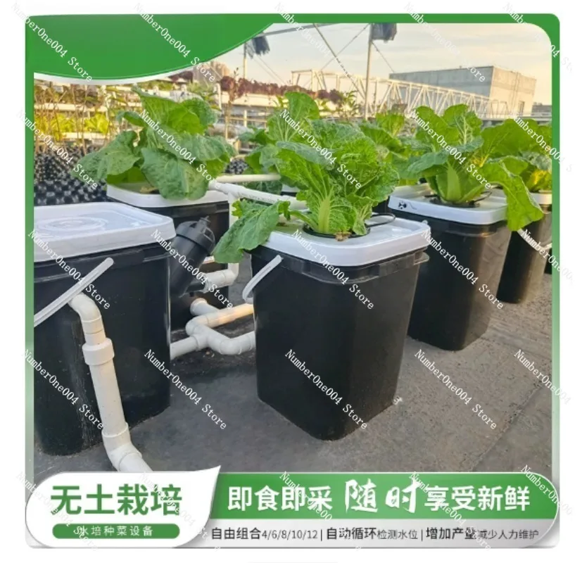 RDWC Home Balcony Hydroponic G - Hydroponic Kit 评论和价格