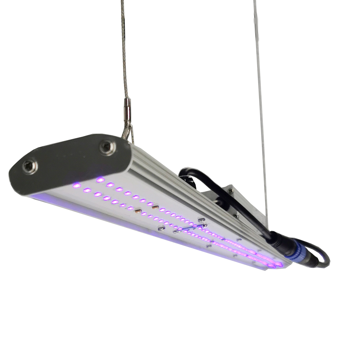 DANSE LED Manual Dimmer LED Gr - Grow Light Led 评论和价格