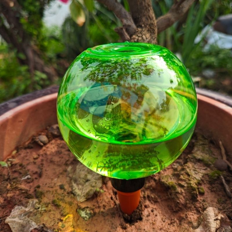 3pcs Large Plant Self Watering - Self Watering Planter 评论和价格