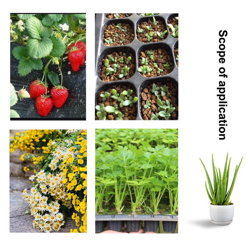 Hot 10Pcs Seedling Trays Plast - Seed Starter Tray 评论和价格