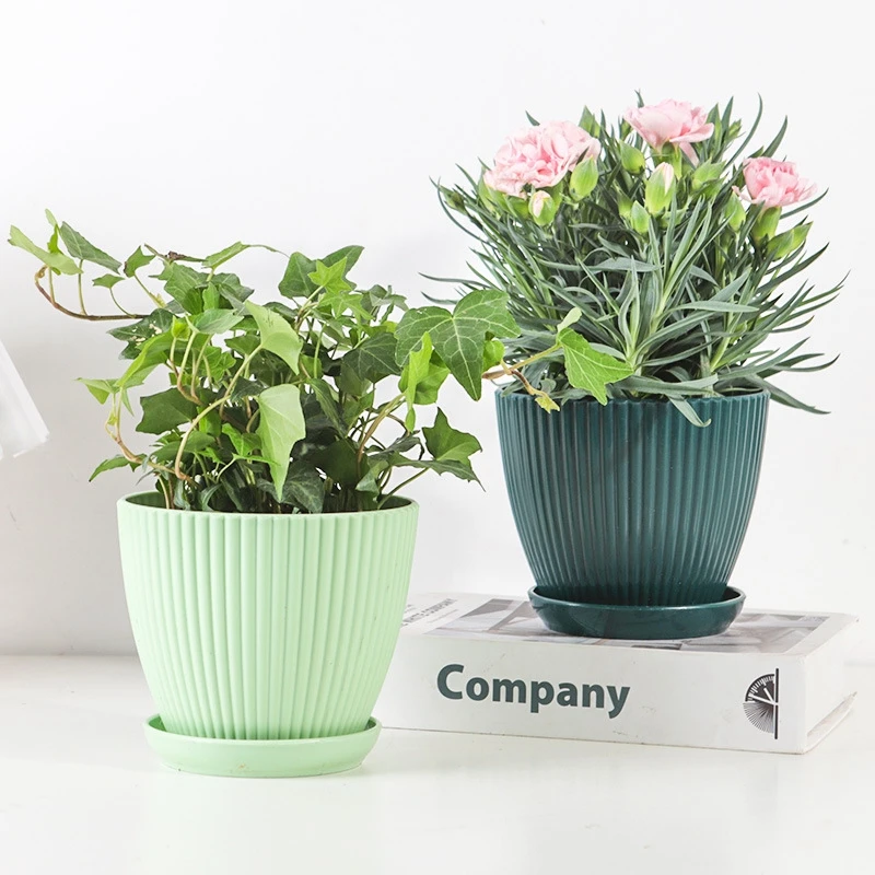 Succulent Potted Round Pot wit - Vertical Planter 评论和价格