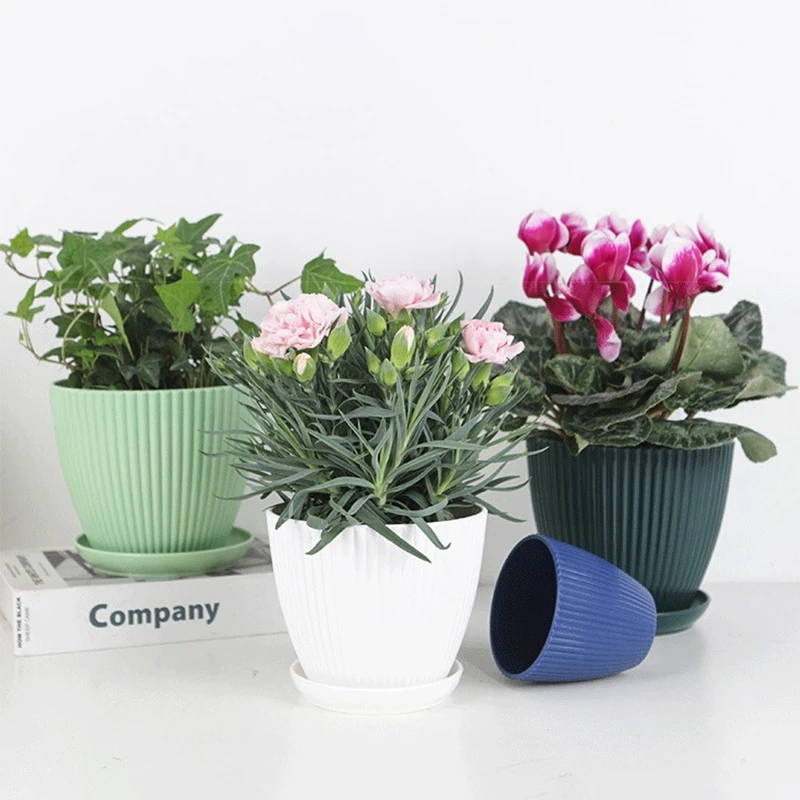 Succulent Potted Round Pot wit - Vertical Planter 评论和价格