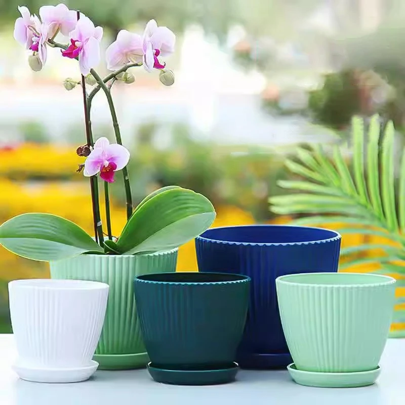 Succulent Potted Round Pot wit - Vertical Planter 评论和价格