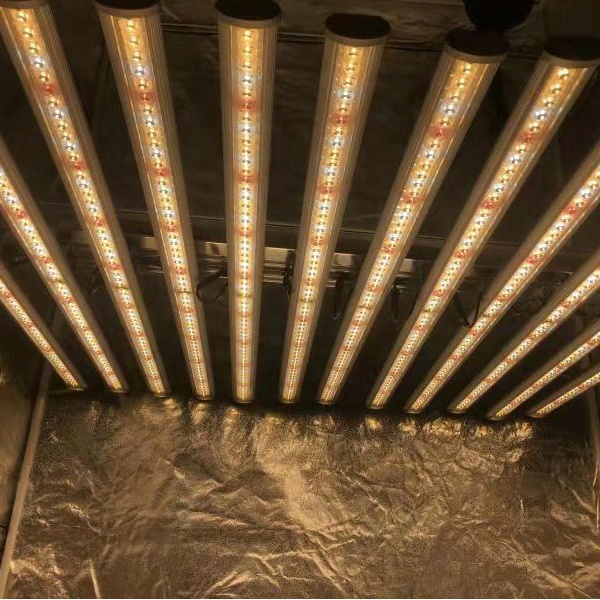 LUX China Factory Led Plant Li - Grow Light Led 评论和价格