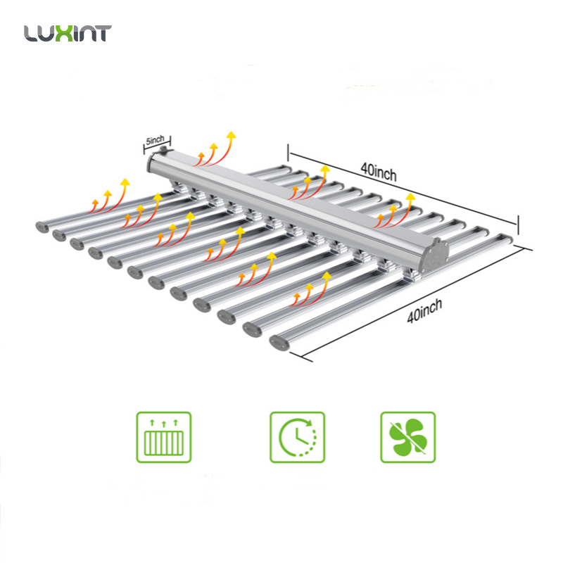 LUX China Factory Led Plant Li - Grow Light Led 评论和价格