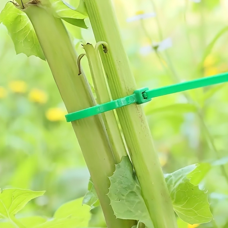 100pcs Garden Cable Tie, Plant - Plant Pot 评论和价格