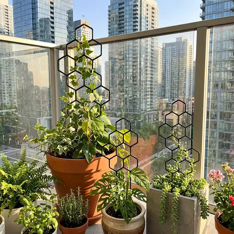 2/4pcs Honeycomb Design Plant  - Indoor Herb Garden 评论和价格