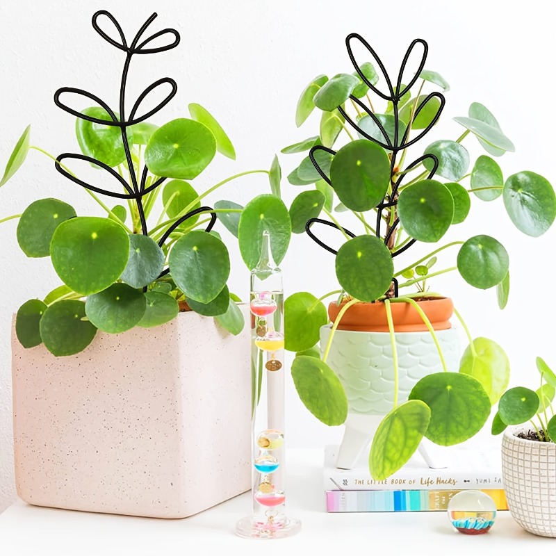 3Pcs Plant Support Frame Climb - Indoor Herb Garden 评论和价格