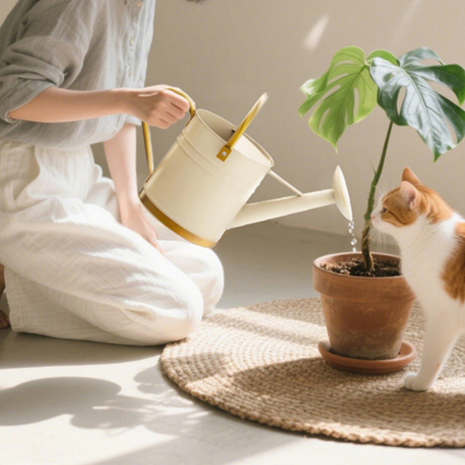Long Spout Watering Can Leak-P - Watering Can 评论和价格