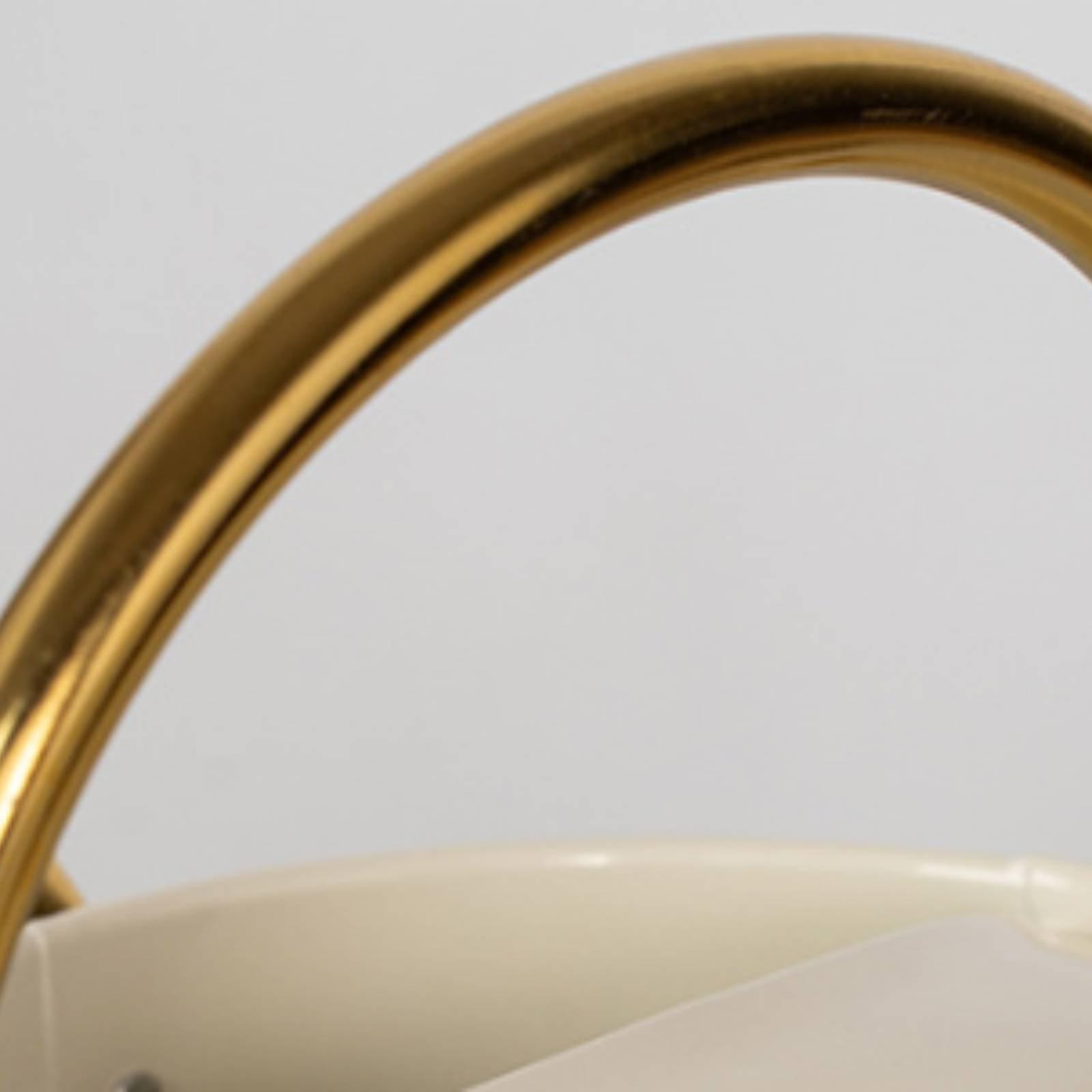 Long Spout Watering Can Leak-P - Watering Can 评论和价格
