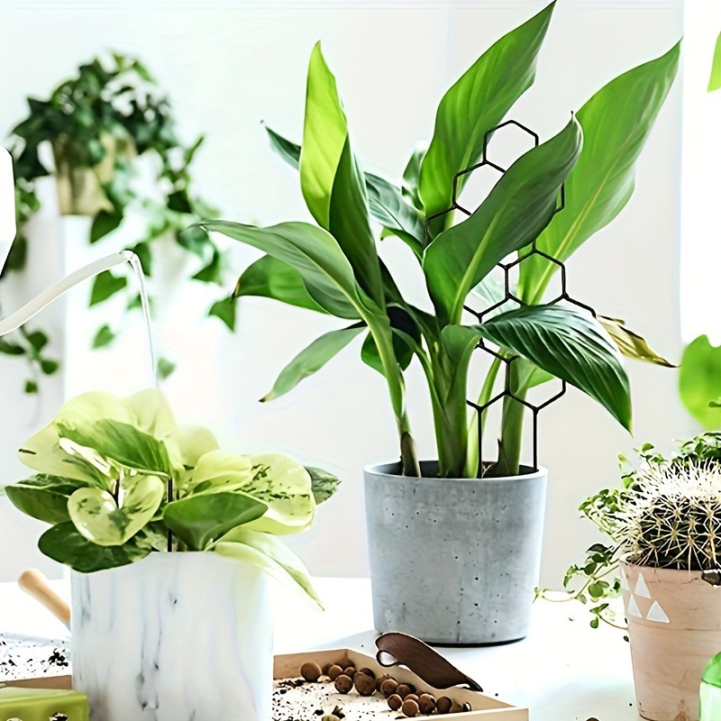 1PC Honeycomb Design Plant Tre - Indoor Herb Garden 评论和价格