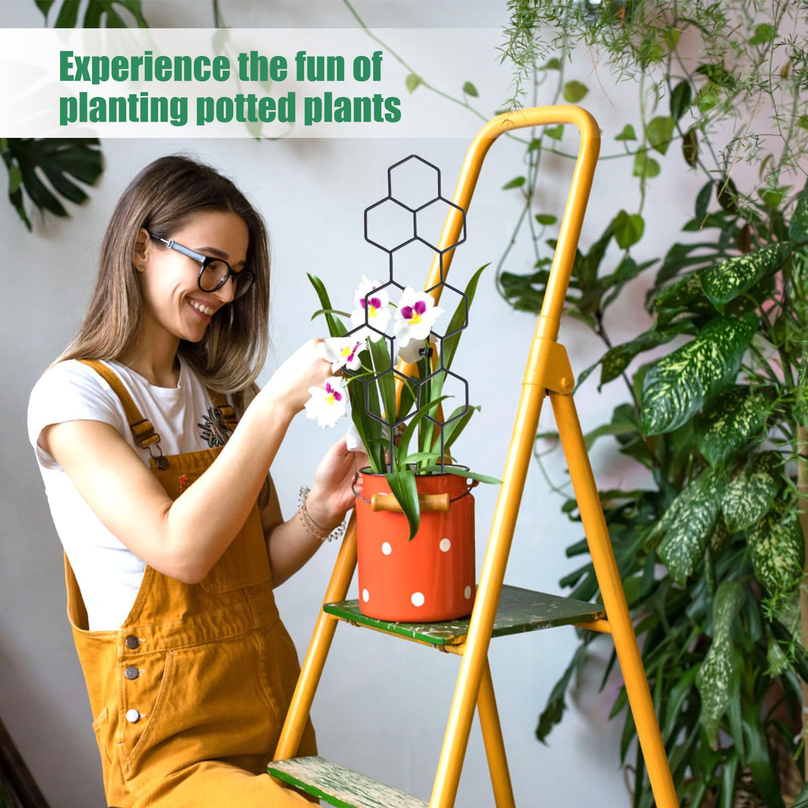 1PC Honeycomb Design Plant Tre - Indoor Herb Garden 评论和价格