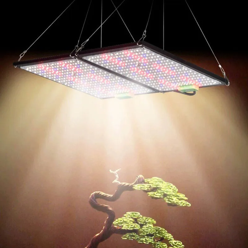 LED Quantum‑Board Grow Light F - Grow Light Led 评论和价格