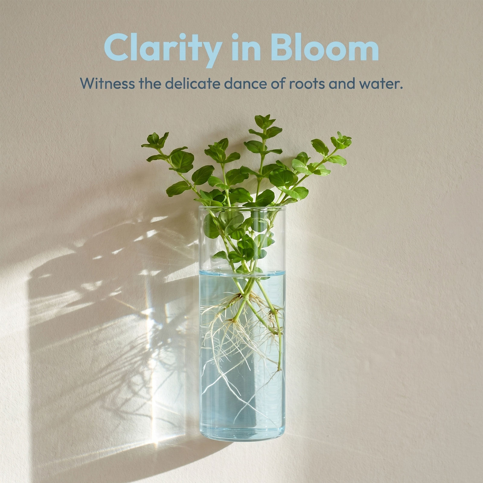 5Pcs Wall Planter Cylinder Gla - Vertical Planter 评论和价格