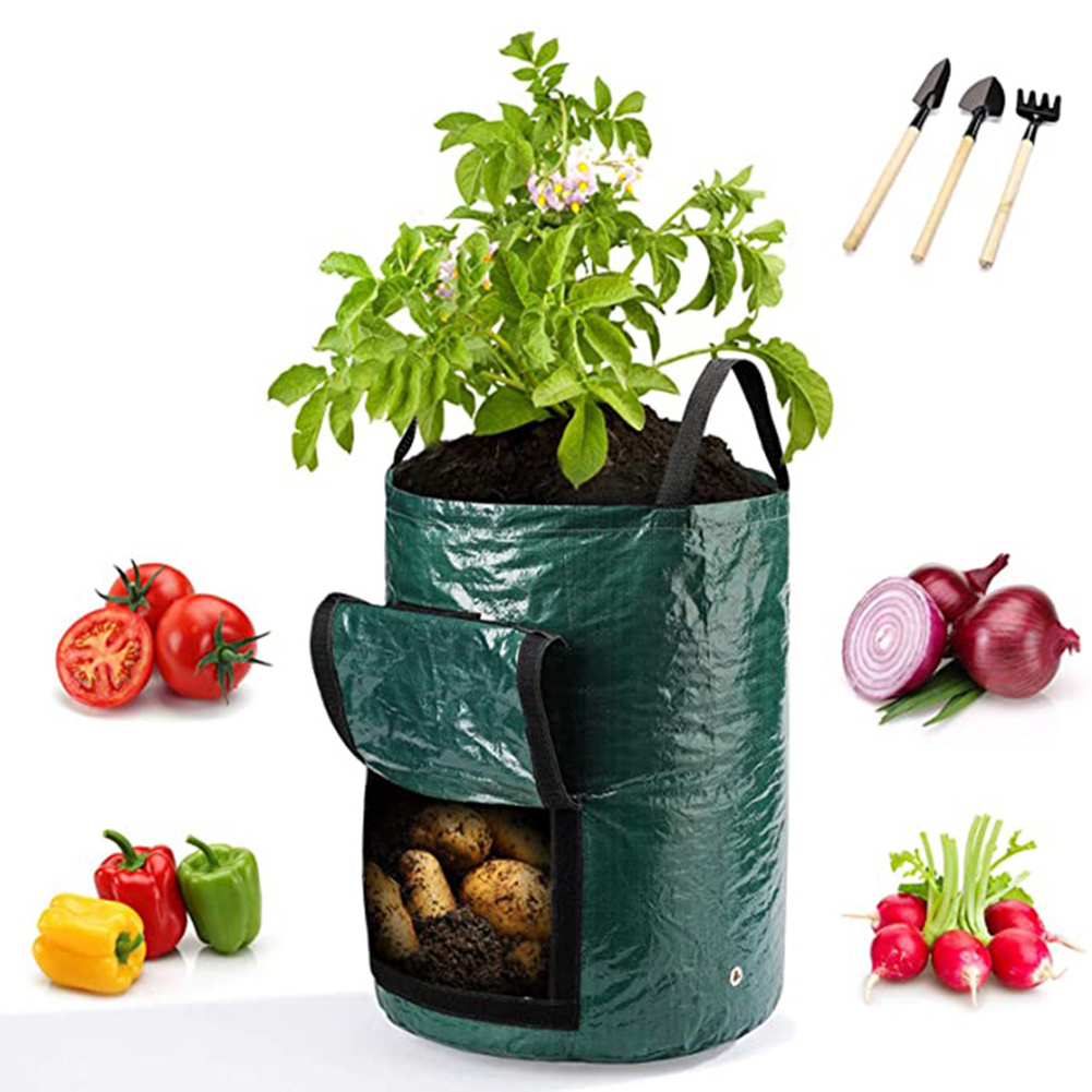 1pc 10-Gallon Grow Bags For Ve - Grow Bag 评论和价格