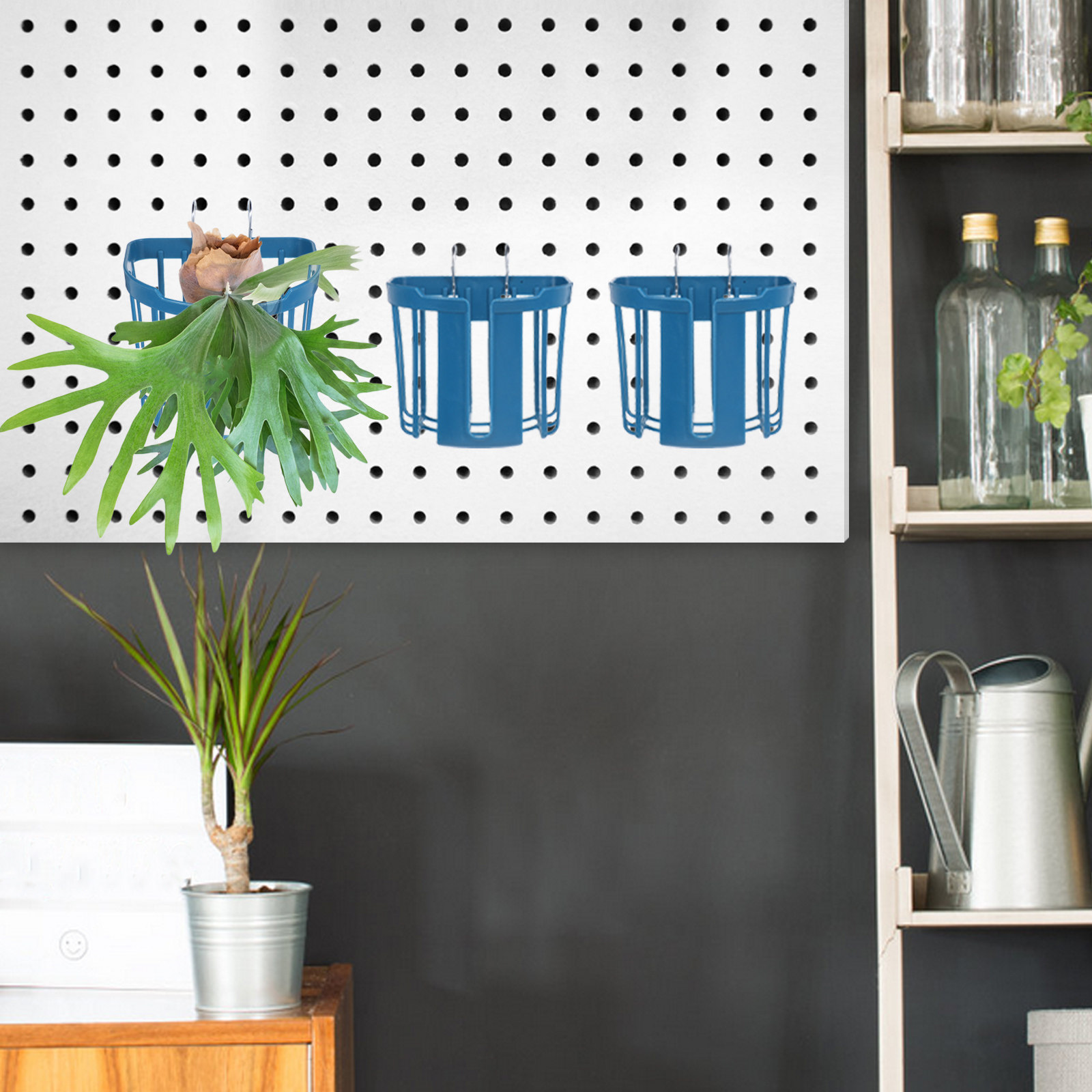 4Pcs Wall Mounted Fern Planter - Vertical Planter 评论和价格